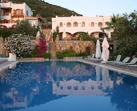 Lavanta House بيت للعطل