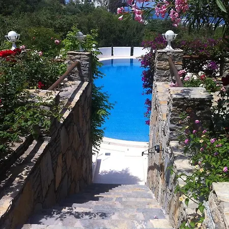 Lavanta House بيت للعطل